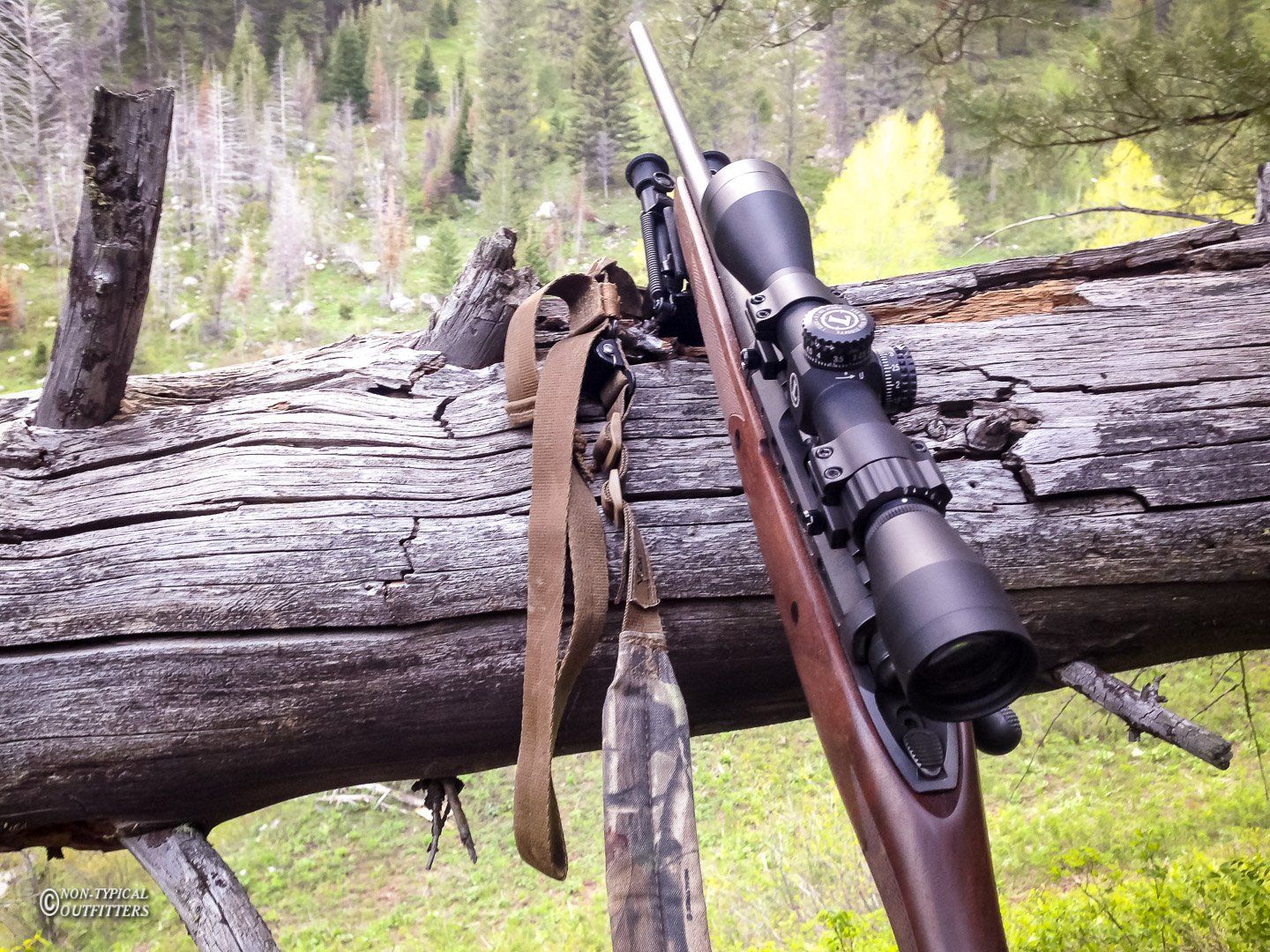 Rifle with scope resting on a fallen log, strap draped over. Forest background, daylight.