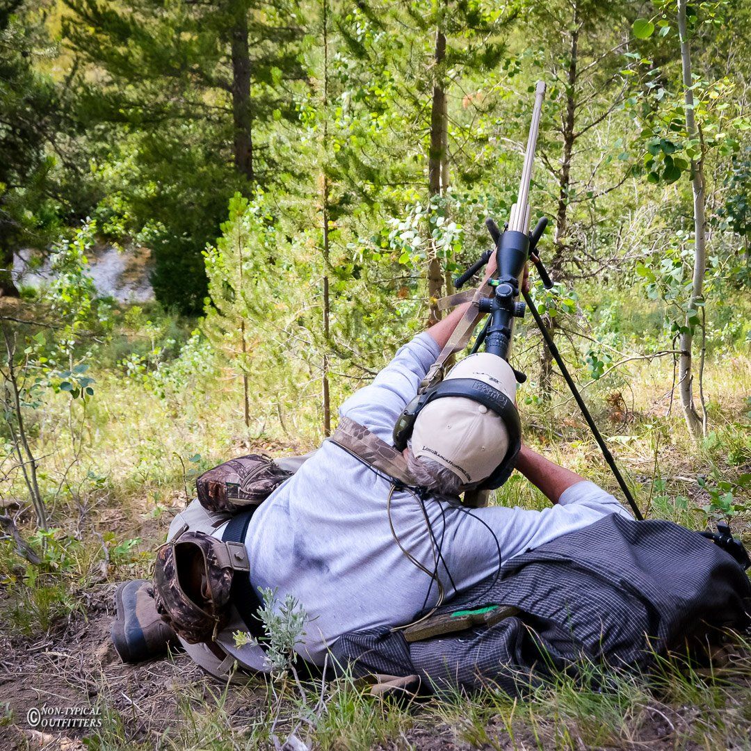Person prone, aiming rifle in a wooded area, wearing ear protection, with a bipod supporting the gun.