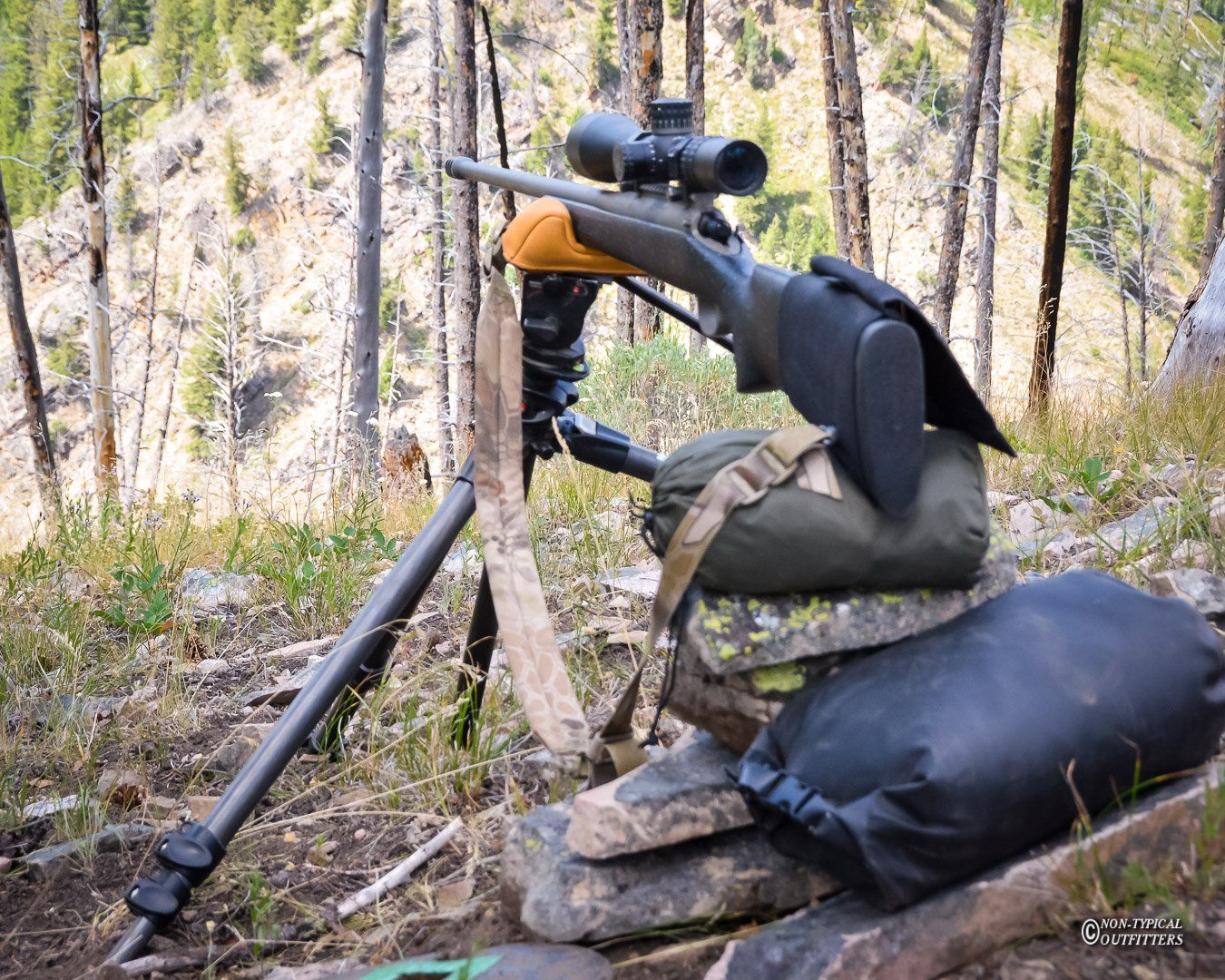 Rifle with scope supported by a tripod and sandbags, outdoors in a forest setting.