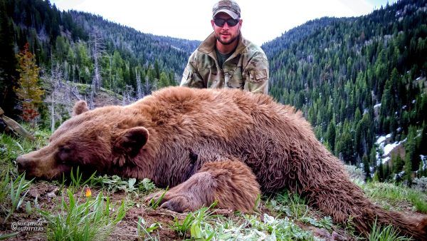 Man in camouflage poses with a dead grizzly bear in a mountainous, forested area.