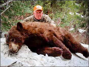 Man kneeling behind a large brown bear lying in snow; man in camo, orange hat.