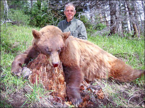 Man poses with a dead brown bear in a grassy, wooded area.