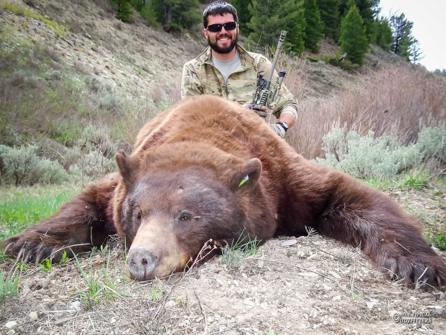 A man is standing next to a large brown bear
