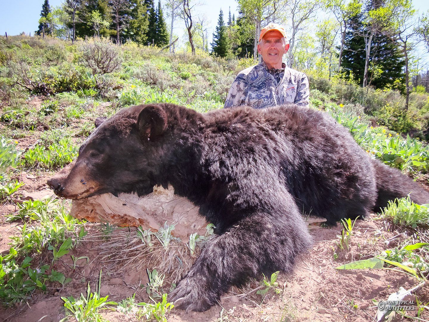 A man is standing next to a large black bear
