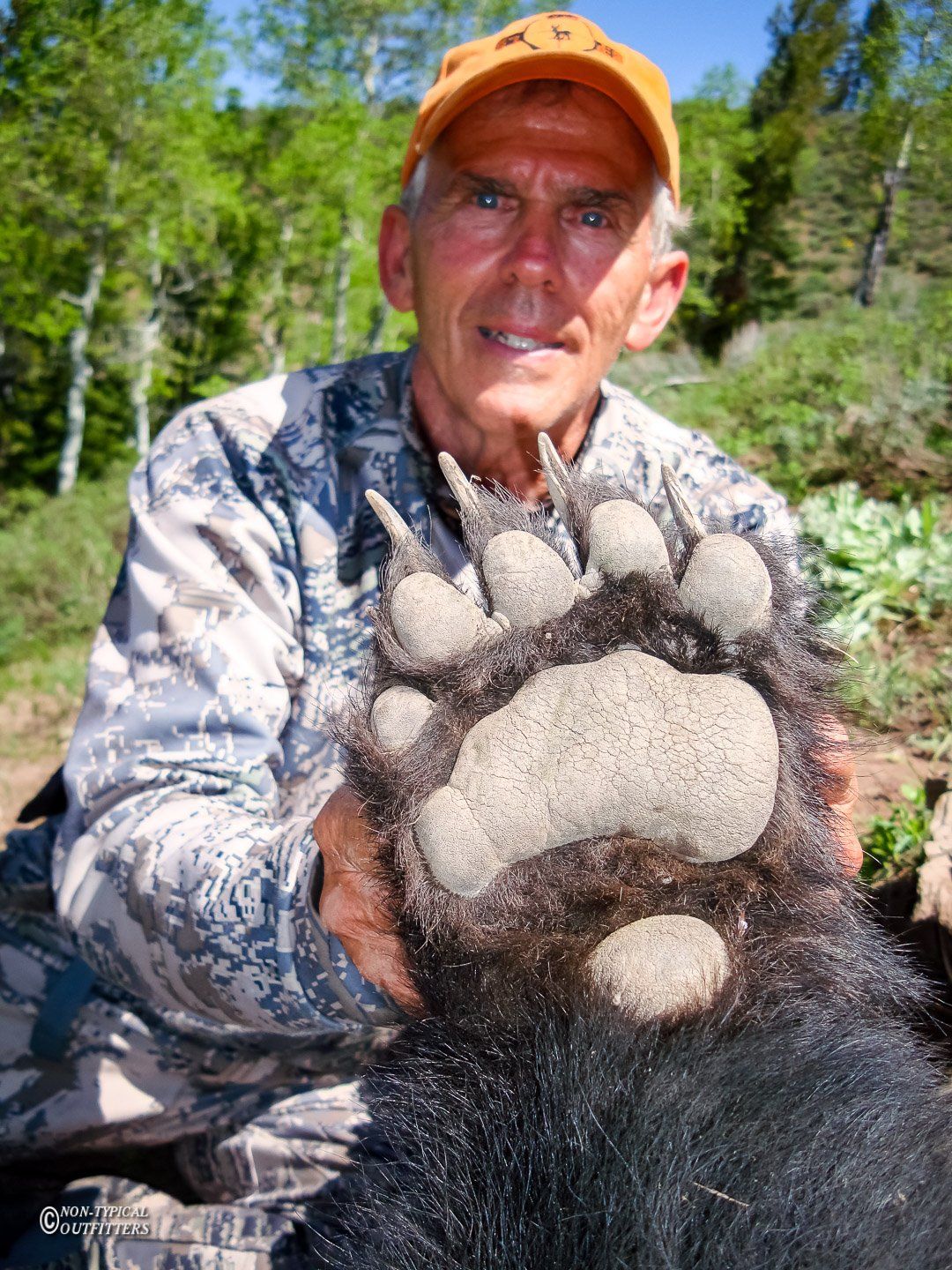 Man in orange hat holding a large black bear paw. Outdoors, trees in background.