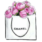Image petit sac Chanel Boutique Lysianne