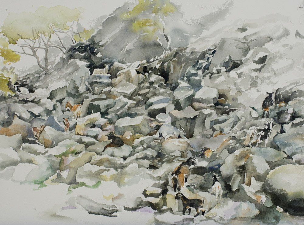 Een aquarel van een rotsachtige berghelling met talloze geiten die tussen de stenen grazen, in grijze en beige tinten.