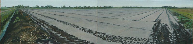 Een panoramisch uitzicht op een groot, vlak veld met duidelijke bandensporen en irrigatiegeulen onder een bewolkte hemel.