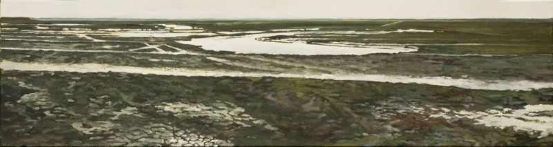 Een panoramisch uitzicht op een waddengebied met kronkelende waterwegen, moerassig terrein en stukken klei.