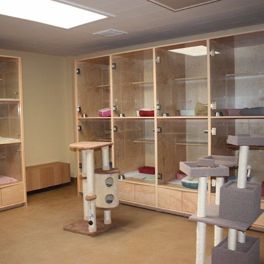 Cat Boarding Cubicles