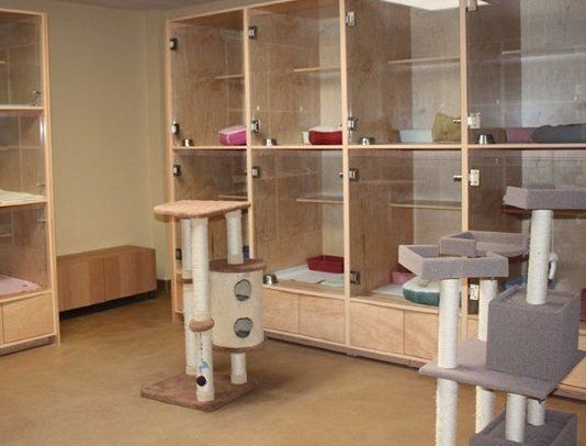 Cat's Cradle Boarding & Grooming