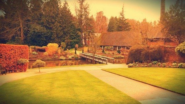 The Orangery Maidstone Review