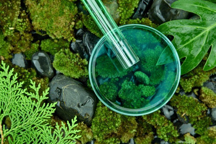 Soil Testing in Westchester County, NY | Exclusive Testing Labs Inc.
