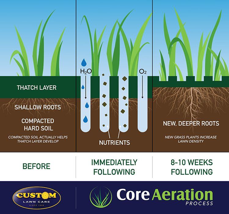 Lawn Aeration Graphic