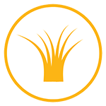 First Lawn Care Treatment Icon