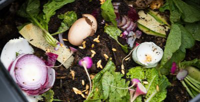 Compost Pile