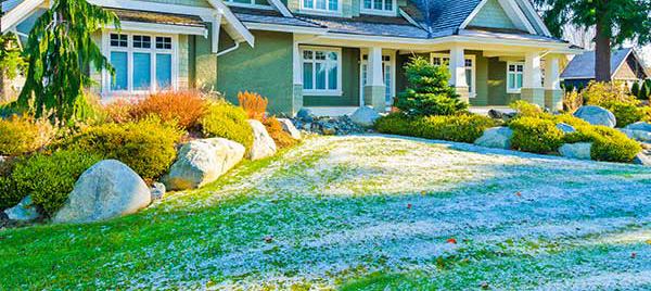 Lawn with Frost