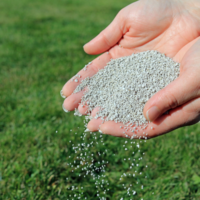 Fertilization