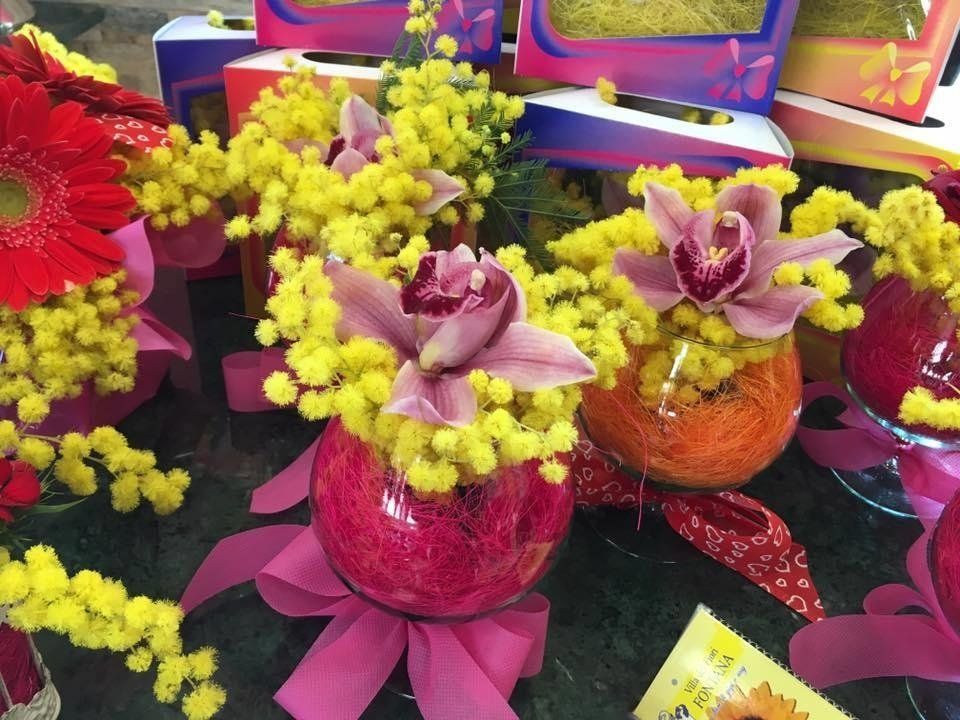 Mimose
