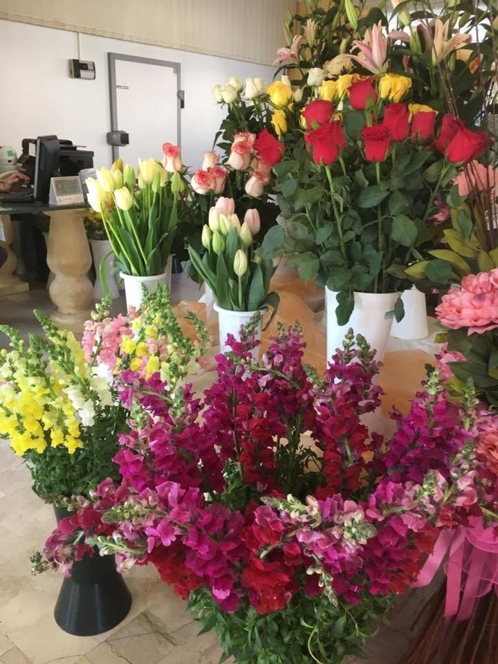 Fiori recisi