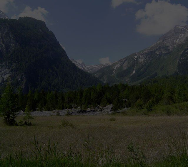 paysage montagneux