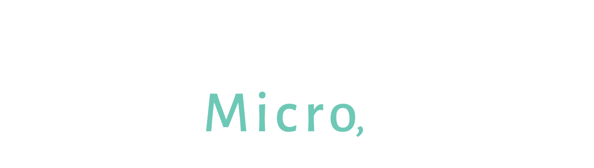 Susquehanna Micro Logo | Providing the best in high frequency jet ventilators and pulmonary function testing equipment