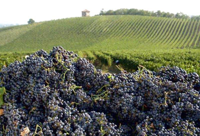 piatti di tradizione campana
