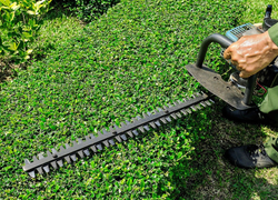 Artificial grass