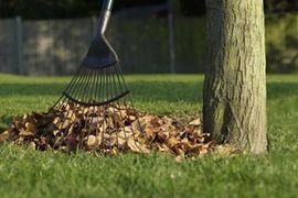 Garden clearance