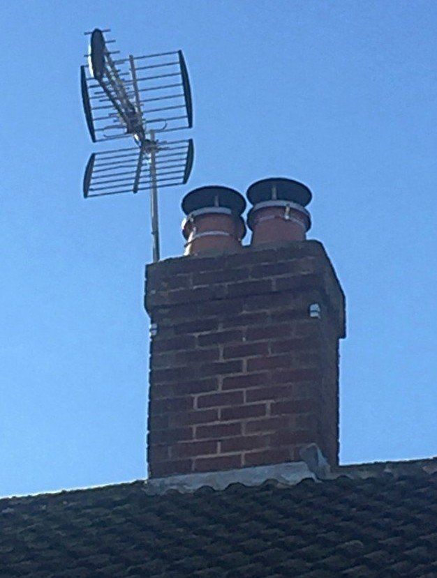 Bird nest removal