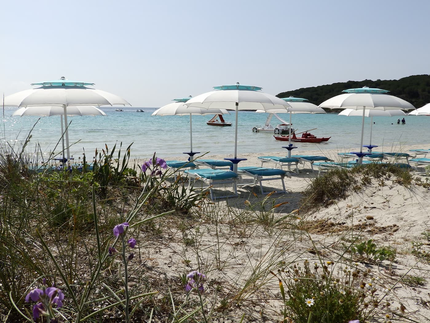 spiaggia con vegetazione, ombrelloni e lettini