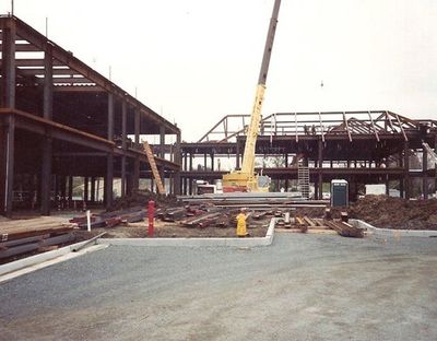 small crane services small crane services