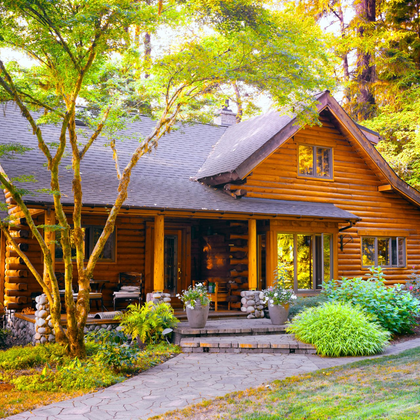 Modern Log Cabin Home in a Forest Environment