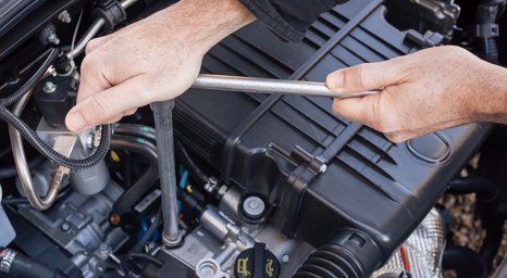 Professional repairing a vehicle in Wellington