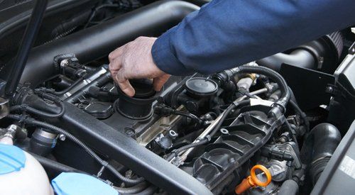 Professional inspecting a car for damage