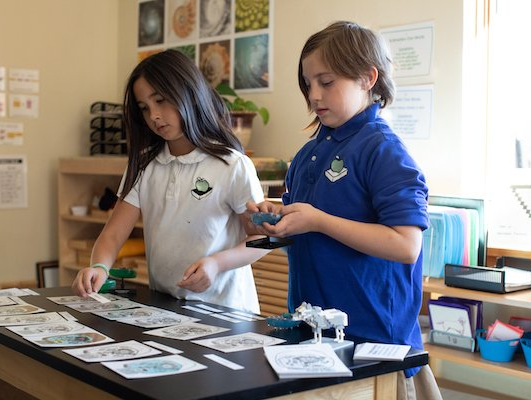 A boy and a girl are using montessori learning cards on a table
