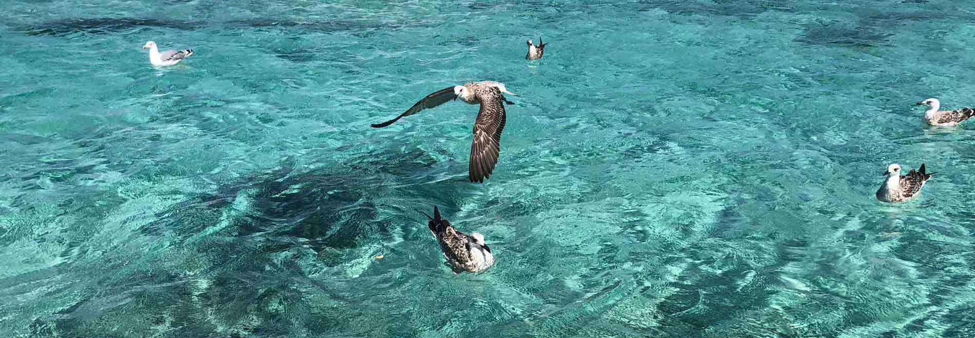 Porto Rafael, il sogno