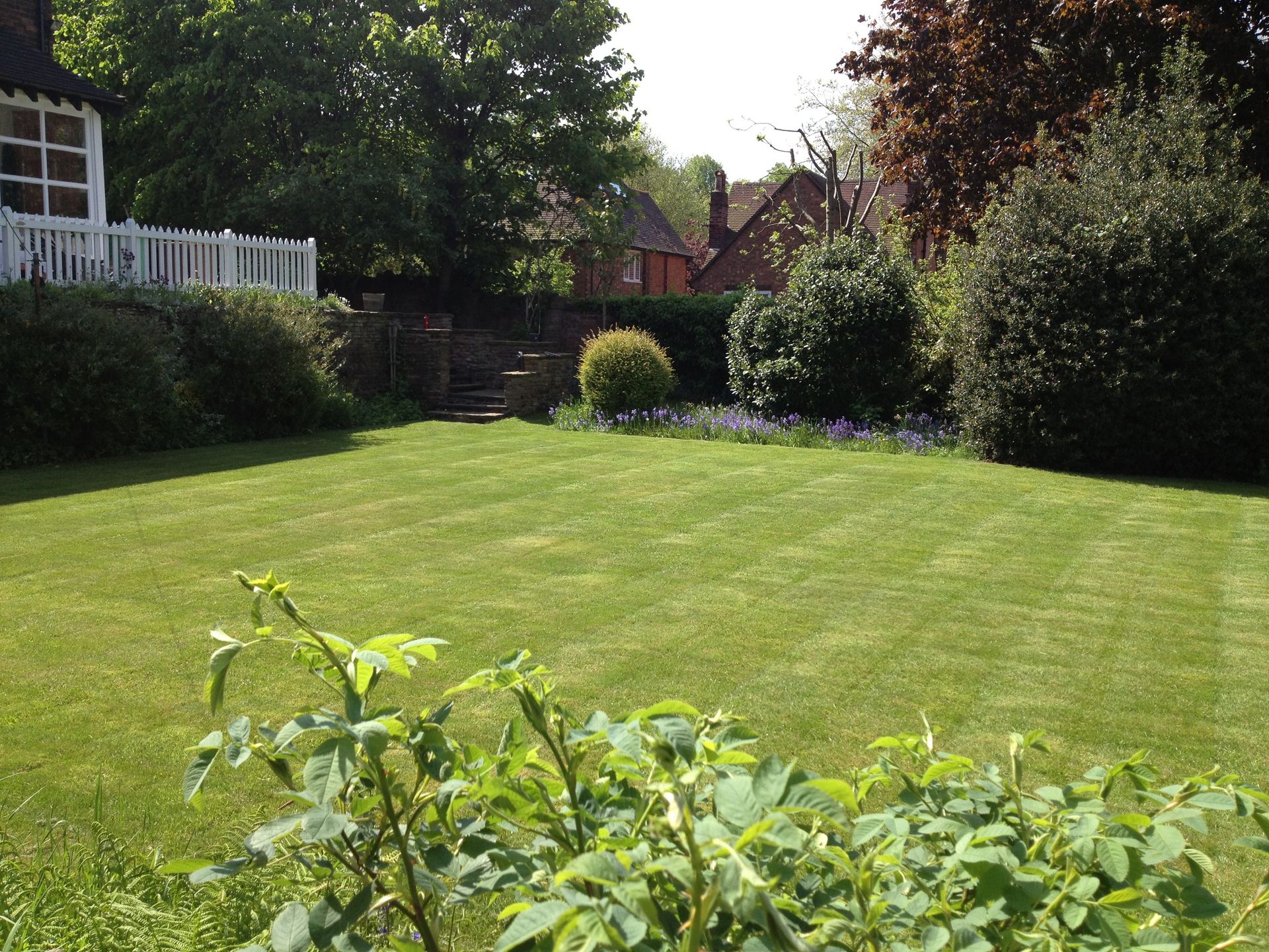 lawn