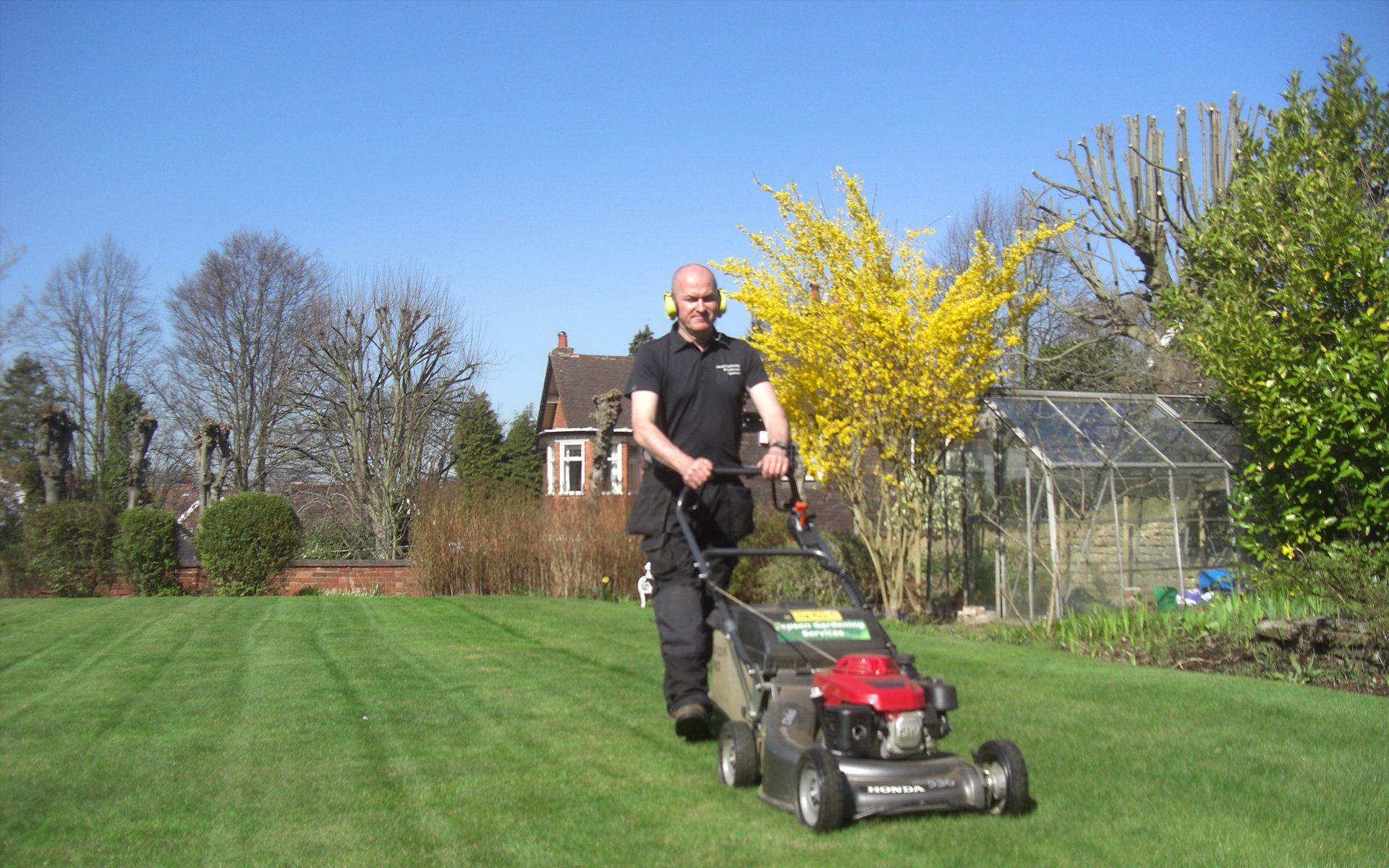 lawn care