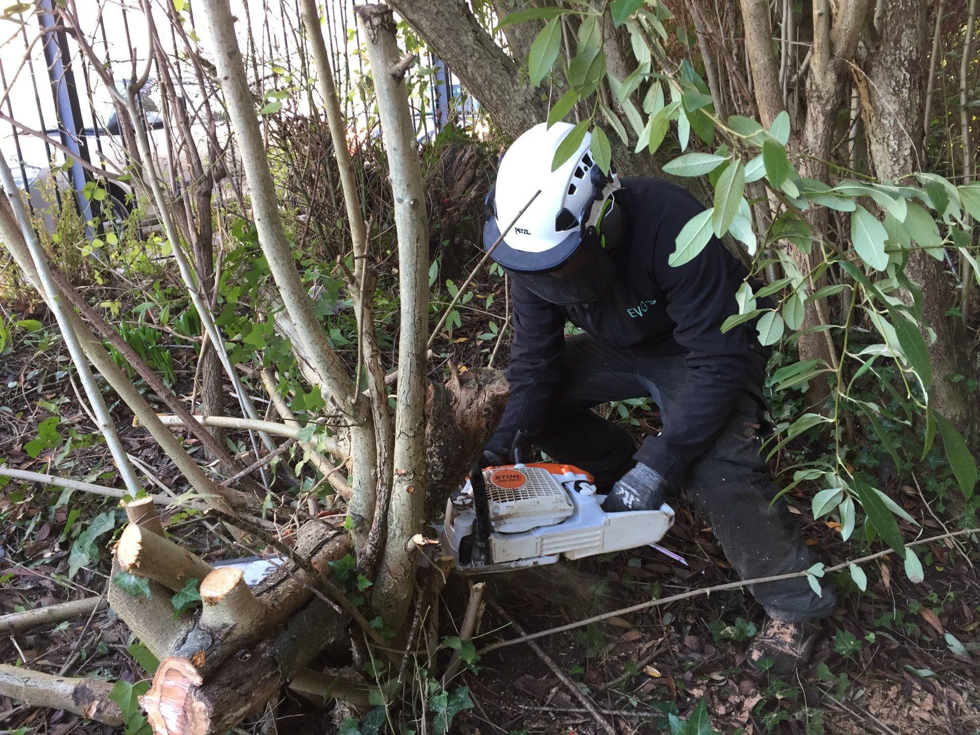 Man with a chainsaw