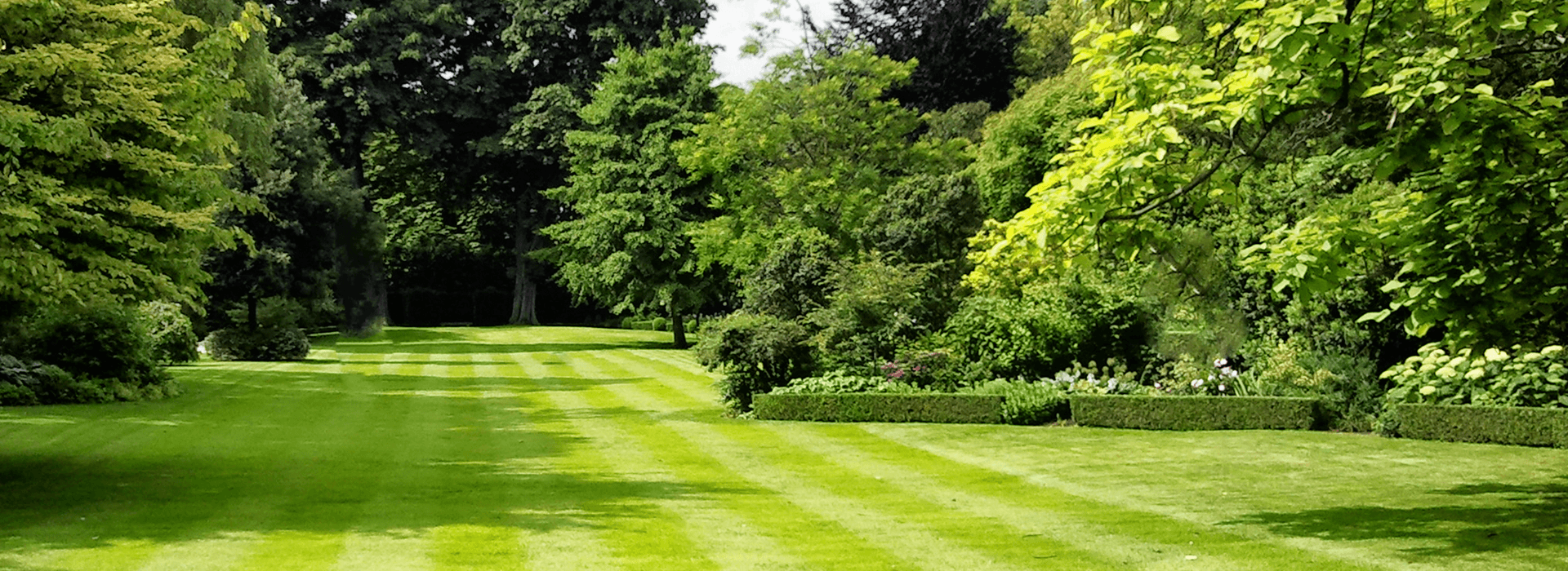 Stunning gardens