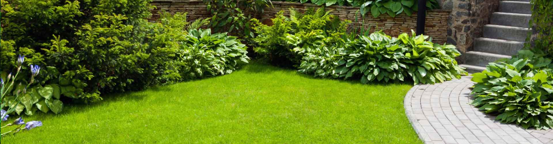 Open green garden — Gallery in Gladstone, QLD