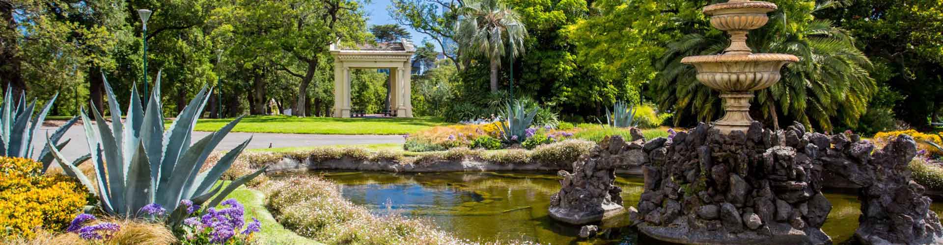 Beautiful pond garden — Gallery in Gladstone, QLD