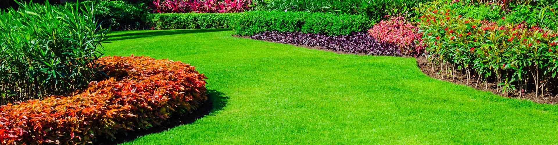 Colourful clean garden — Gallery in Gladstone, QLD
