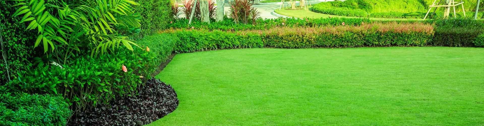 Plain green garden — Gallery in Gladstone, QLD