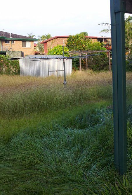 Backyard needs mowing service — Garden Maintenance in Gladstone, QLD Backyard needs mowing service — Garden Maintenance in Gladstone, QLD