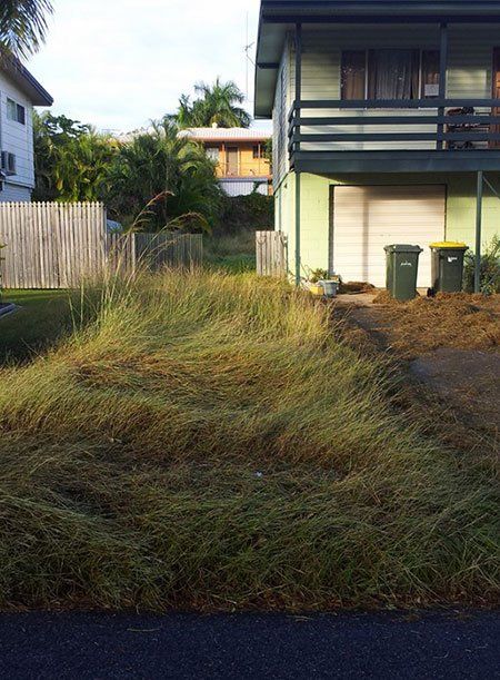 Garden needing maintenance — Garden Maintenance in Gladstone, QLD Garden needing maintenance — Garden Maintenance in Gladstone, QLD