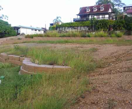 Unmaintained open garden — About Us in Gladstone, QLD