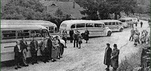 McKenzie buses