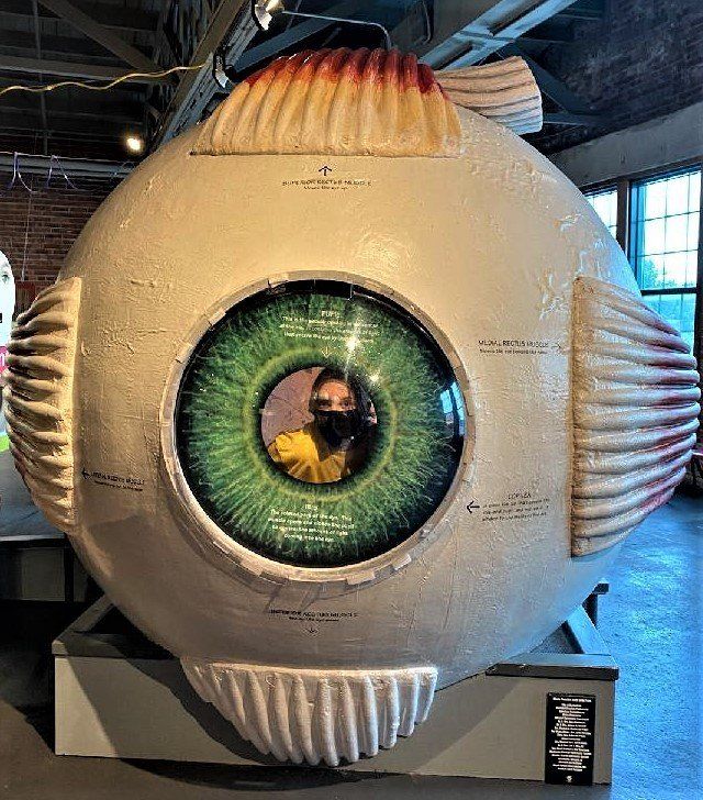 Giant eye exhibit with person taking a selfie in the pupil. Green iris, white sclera, red and yellow highlights.